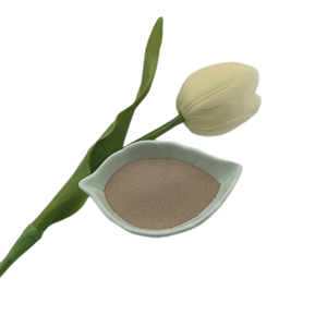 <span class=keywords><strong>Sable</strong></span> de zircon haute intensité pour réfractaires 65% ZrO2, Matériau ZrSiO4 à bon <span class=keywords><strong>prix</strong></span> pour la fabrication de briques, de mortier et de céramiques - Product Image 5