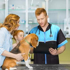 Veste à fermeture éclair pour toilettage des animaux de compagnie | Veste uniforme à fermeture éclair à manches courtes unisexe en Polyester de qualité supérieure - Product Image 2