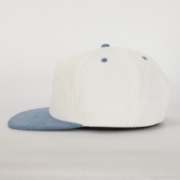 Sombreros deportivos ajustables ajustados Gorras Snapback de ala plana populares Logotipo personalizado Bordado 3D Pana Moda al aire libre