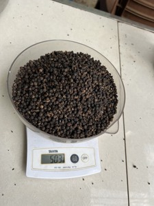 Poivre noir 500G/L FAQ pas cher prix pour l'Afrique pays en gros qualité d'exportation - Product Image 5