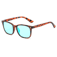 Lunettes correctrices de la daltonisme rouge/vert, légères et durables, améliorent la perception des couleurs, améliorent la vie quotidienne