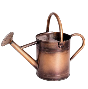 Arrosoir fini cuivre bidons d'eau en métal fournisseur de jardin métal nouveau Design arrosoir pour la maison jardin utilisation quotidienne - Product Image 6