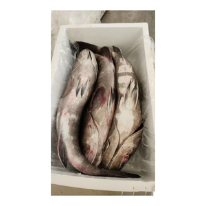ปลากระพงขาวแช่แข็งคุณภาพสูง จำหน่ายในราคาที่แข่งขันได้สำหรับผู้จัดจำหน่ายและผู้แปรรูปอาหารทะเล - Product Image 5