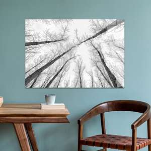 Tableau sur toile imprimé moderne et élégant : Décoration de paysage, ART SUR VERRE TÉRMÉTRAL - Product Image 1