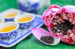 NATURAL DRIED LOTUS FLOWER FOR <b>TEA</b> <b>BREWING</b> PLANT BASED HERBAL INFUSION IMMUNE SYSTEM SUPPORT - Product Image 3