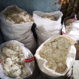 Handmade Natural Pineapple Fibres Pineapple Leaf <b>Fiber</b> from Vietnam - Product Image 4