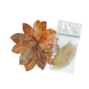 Hojas de Guanábana secas naturales 100% Embalaje personalizado Hojas de Guanábana secas Hojas de Guanábana al por mayor - Product Image 6