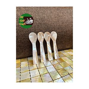 CUCHARA NATURAL ECO FRIENDLY MADRE DE PERLA CUCHARA SUPERFICIE PULIDA CUCHARA SEGURA PARA ALIMENTOS PARA CAVIAR USO DE REGALO AL POR MAYOR - Product Image 5