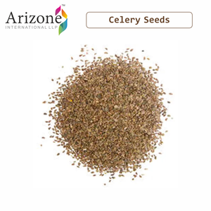 Cây Trồng Mới Nhất 100% Hạt Cần Tây Tự Nhiên Bán Buôn Từ Nhà Cung Cấp Ấn Độ Bán Buôn Giá Tốt Nhất - Product Image 2