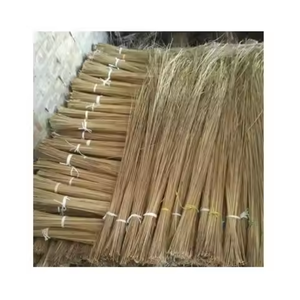 สั่งซื้อจำนวนมากสำหรับไม้กวาดมะพร้าวทำความสะอาดจากโรงงานเวียดนามที่มีคุณภาพพรีเมี่ยมและการส่งออกโดยการแข่งขันโดย99 GD - Product Image 2