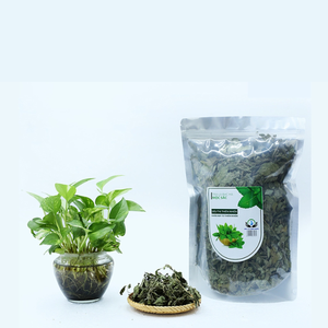 Hojas de menta verde liofilizadas de primera calidad, té de hojas sueltas con sabor a menta, hierba natural individual para preparar diariamente - Product Image 1
