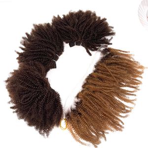 Besst Qualité Kinky Curly Color Bundles Et Frontal De 100% Cheveux Humains Vietnamiens Vrais Cheveux Humains - Product Image 2