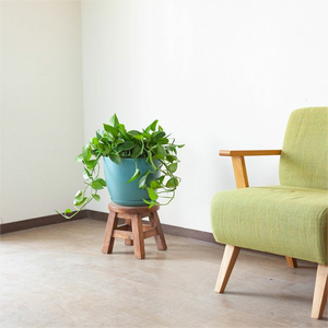 Pioneera, venta al por mayor, diámetro 30cm, macetas de fibra ecológica, casco de arroz, macetas decorativas para plantas de <span class=keywords><strong>interior</strong></span>, macetas de jardín, macetas grandes para exteriores - Product Image 6