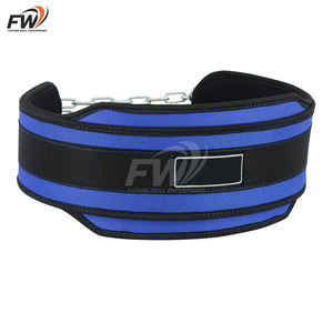 Cinturón de Dips de Alta Resistencia con Impresión de Logotipo Personalizado Disponible, Cinturón de Levantamiento de Pesas con Cadena de Acero para Dips y Dominadas - Product Image 2