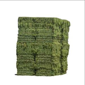 Alfafa Hay Animal Feeding Stuff Alfalfa, heno/pellets de heno de alfalfa Timothy Hay/ Alfafa en fardos Best - Product Image 4