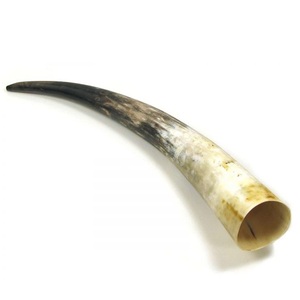 Cuerno vikingo para beber líquidos calientes Natural increíble cuerno para beber vikingo con cinturón de cuero uso para producto de gran oferta - Product Image 4