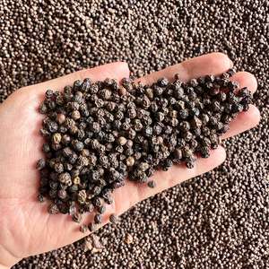Vilaconic Group's New Crop Vietnam Black Pepper Maíz Grano entero Poivre Noir 500g/L a 570g/L Estilo seco por Anna DO - Product Image 1