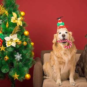 Jouets d'entraînement de dentition jouet en coton pour animaux de compagnie jouet à mâcher pour chien lavable coloré interactif pour le nettoyage des dents OEM fabriqué au Vietnam - Product Image 3