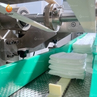 Ligne de production entièrement intégrée de lingettes humides à 16/20 voies avec correction de déviation de bobine pour lingettes humides en sachet grand format de 30 à 120 pièces