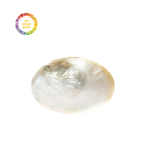 Vente en gros de plaques de nacre prix abordable fournisseur en vrac poli brillant coquille naturelle surface matériau durable pour l'artisanat - Product Image 1