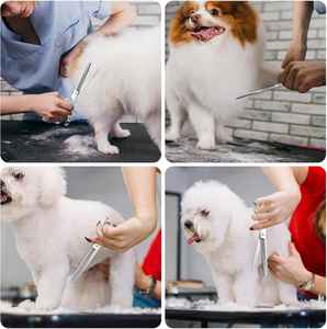 Ciseaux amincissants professionnels de toilettage pour chiens de 7 \ "avec 23 dents 80%-85% Taux d'amincissement Ciseaux de manucure sans ligne de mélange - Product Image 5