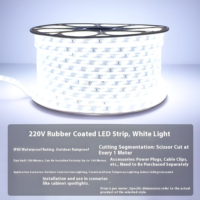 Bande LED Super Lumineuse Extérieure Étanche Flexible pour Plafond, Haute Tension 220V IP65 2700K Blanc Chaud Doux, PVC pour Parc Thématique