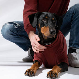 Sweat-shirt éponge français pull personnalisable pour hommes et femmes doux et confortable tenue décontracté en gros unisexe français - Product Image 4