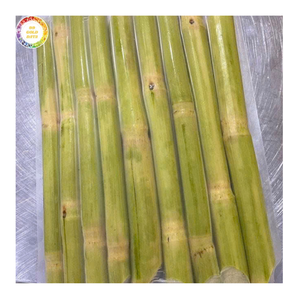 แท่งอ้อยแช่แข็งออร์แกนิกจากเวียดนามฉลากสะอาดที่ยั่งยืนส่งออกสำหรับอุตสาหกรรมสกัดน้ำผลไม้เย็น - Product Image 1