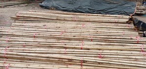 MATÉRIEL DE SÉCURITÉ ENVIRONNEMENTALE PÔLE EN BAMBOU FINS D'UTILISATION MULTIPLES DE HAUTE QUALITÉ ET MEILLEURE NORME - Product Image 4