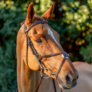Venta al por mayor Brida de caballo pedido a granel FABRICANTE DE Brida de caballo CABALLO BRIDLE DE JUMPING DE CUERO - Product Image 3