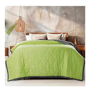 Couette en microfibre de qualité supérieure faite à la main Ultra-douce et légère Couleur unie Confort toutes saisons de qualité supérieure - Product Image 6