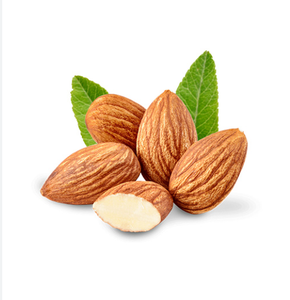 Nueces de almendra orgánicas saludables selladas en tarro de grano grande Premium Snack listo para enviar en stock Precio al por mayor ofrecido - Product Image 2