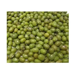 Haricots mungo verts de haute qualité/Haricots Moong entiers disponibles à la vente à bas prix