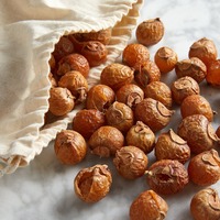 Noix de savon naturelle séchée sans pépins pour la lessive saponines prix le moins cher noix de savon soapberry