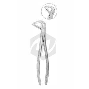 Forceps dentaires de qualité supérieure, manche fantaisie, acier inoxydable allemand, forceps d'extraction dentaire / pinces dentaires - Product Image 3