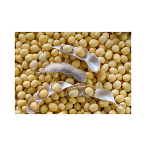 Non-GMO Export Grade Yellow Soybean / Premium Quality Soya <b>Beans</b> for Soybean Importers - Product Image 3