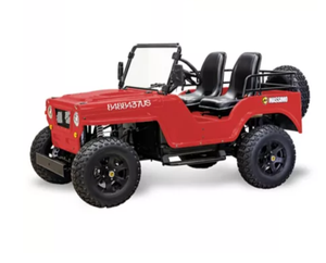 Go Karts Todoterreno de 300cc y 2 Plazas, Listos para Enviar, Color Verde - Product Image 5