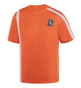 Camiseta de Hombre de Alta Calidad, 280 g/m², 100% Algodón, Cuello Redondo, Manga Corta, Antiarrugas, Secado Rápido, Transpirable, Casual, Tallas Grandes - Product Image 4