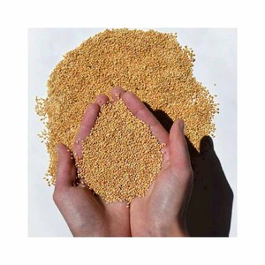 100% Organic Green Millet <b>Peas</b> Food Grade Quality for Multi-Purpose Use - Product Image 5