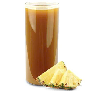 Concentré d'ananas vietnamien en vrac: qualité sans compromis, prix compétitif - Product Image 6