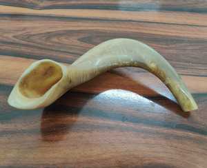 Shofar de cuerno de carnero redondo pulido Kosher ecológico con estilo Animal de Material orgánico para arte y coleccionable - Product Image 1