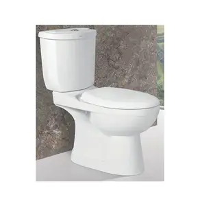 Stile moderno di alta qualità S Trap sanitari due pezzi Water Closet colore bianco prodotto in India