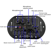 Carte d'amplification audio pour voiture, carte mère d'amplificateur audio, caisson de basses, amplificateur audio domestique, 12V, 24V, 220V