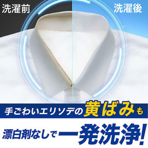 Le plus récent détergent à lessive liquide fabriqué au Japon 25.4 oz (720g) élimination puissante des taches et des odeurs sans agent de blanchiment en gros moins cher - Product Image 4