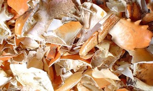 Premium Bulk Dried <b>Crab</b> <b>Shells</b> Cleaned Natural 5kg From Vietnam - Product Image 2