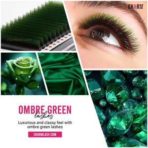 CharmLash Bandejas de Extensión de Pestañas de Color Ombre Llamativas Pestañas Postizas OEM ODM Venta al por mayor Bandejas de Pestañas de Color Ombre Personalizadas - Product Image 4