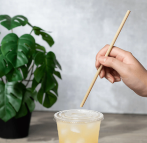 Paille à boire en bambou réutilisable 100% biodégradable Home Restaurant Bistro Cafe Hotel Dining avec étui en bambou - Product Image 6