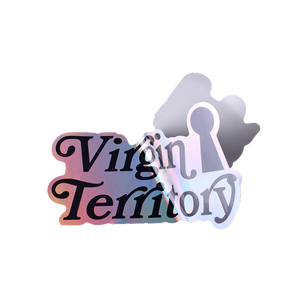 Pegatinas de vinilo holográficas listas en stock, bonitos diseños de dibujos animados de Anime para manualidades, diarios y regalos - Product Image 2