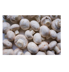 Champiñones congelados sazonados cultivados de alta calidad 10kg para cocinar y preparar comidas - Product Image 2