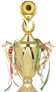 Trofeo de premio de diseñador de estilo de flor de grabado ecológico pulido de latón y madera con logotipo personalizado para juegos deportivos calidad de exportación - Product Image 2